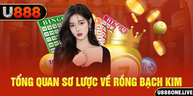 laptop88 how to win at slot machines