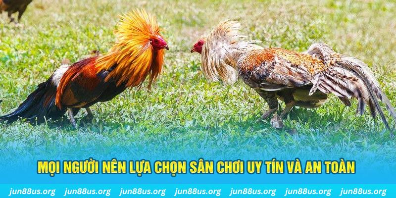 laptop88 hơn cả bạn bè