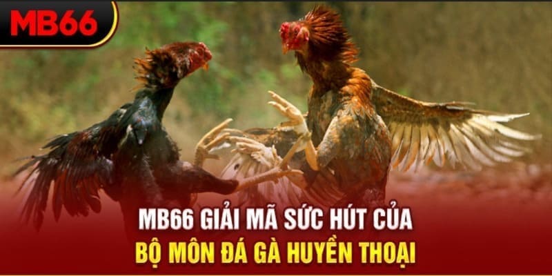 laptop88 long bảo trong baccarat là gì