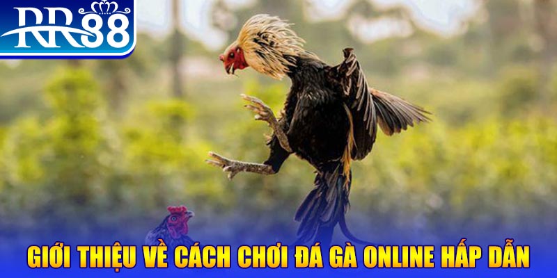 laptop88 nổ hũ 2 mặt là gì